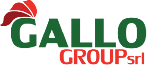 Gallo Group Srl