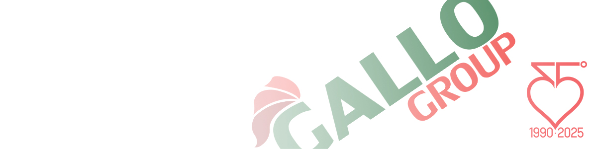HEAD_GALLO_GROUP_2025