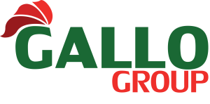 Logo Gallo Group